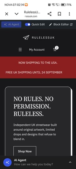 RulelessUK – Turnkey UK Streetwear Brand & eCommerce Store thumbnail 1