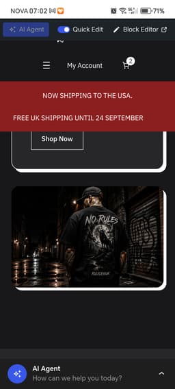 RulelessUK – Turnkey UK Streetwear Brand & eCommerce Store thumbnail 2