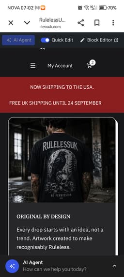 RulelessUK – Turnkey UK Streetwear Brand & eCommerce Store thumbnail 5