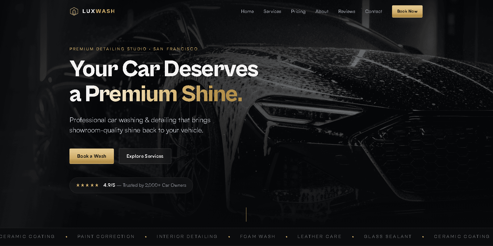 Modern Car Wash & Detailing Website for Sale screenshot 1