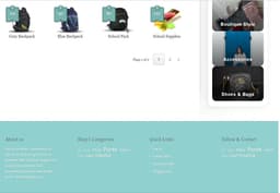 Ready-to-Use Fashion Boutique & E-commerce Blogger Website Design thumbnail 3
