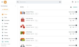Ready-to-Use Fashion Boutique & E-commerce Blogger Website Design thumbnail 4