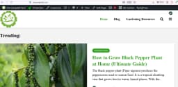 Gardening blog - 360/mo revenue - 142K active FB followers thumbnail 1
