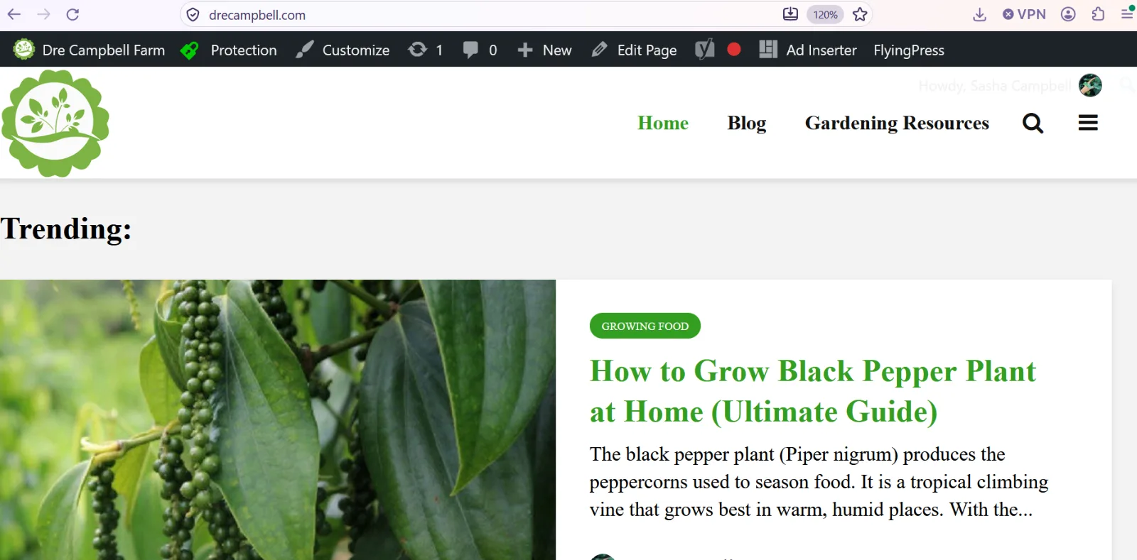 Gardening blog - 360/mo revenue - 142K active FB followers screenshot 1