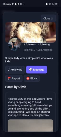 Zentro for Sale thumbnail 2