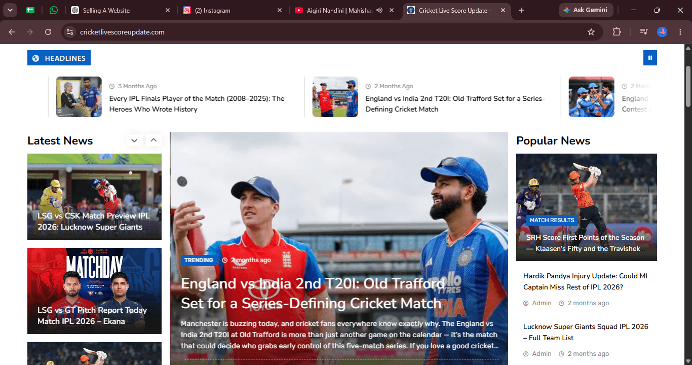 Established Website for Sale screenshot 1